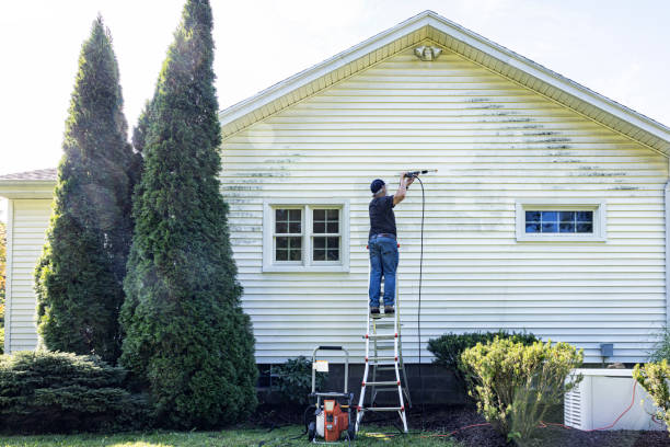 Best Roof Washing  in Chilton, WI